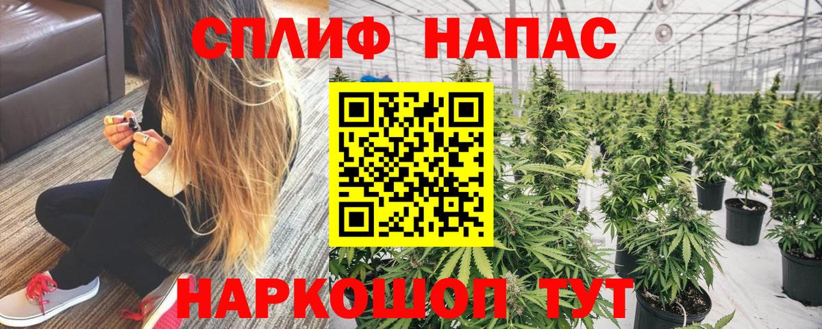 Конопля Bruce Banner  Вход с VPN  Орёл  Каннабис OG Kush  Конопля планчик 